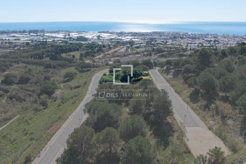 land plot for sale in Premia De Dalt, Barcelona, Catalonia, Spain № 8784 - photo 5
