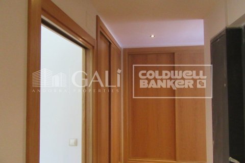 Villa de 4 dormitorios en venta en Principado De Andorra (Ninguna Poblacion Tiene C.P.), Lérida, Cataluña, Spain № 6019 - foto 27