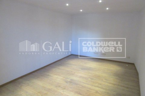 Villa de 4 dormitorios en venta en Principado De Andorra (Ninguna Poblacion Tiene C.P.), Lérida, Cataluña, Spain № 6019 - foto 16