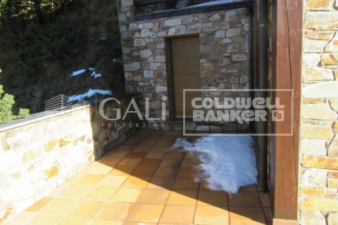 Villa de 4 dormitorios en venta en Principado De Andorra (Ninguna Poblacion Tiene C.P.), Lérida, Cataluña, Spain № 6019 - foto 8