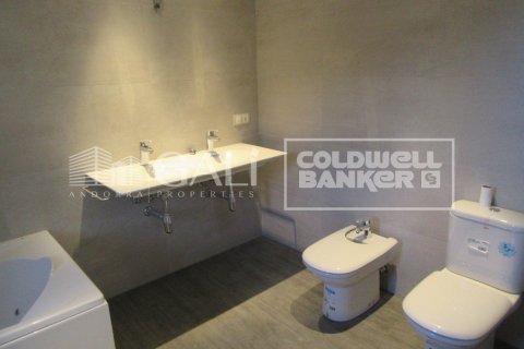 Villa de 4 dormitorios en venta en Principado De Andorra (Ninguna Poblacion Tiene C.P.), Lérida, Cataluña, Spain № 6019 - foto 18