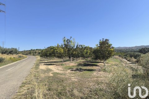 220000 sq.m. land plot for sale in Flix, Tarragona, Catalonia, Spain № 4789 - photo 23