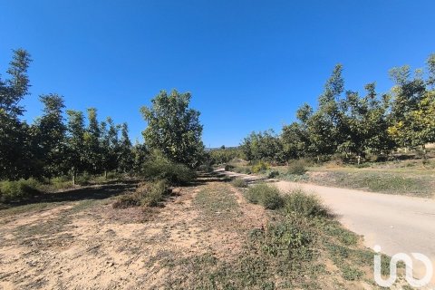 220000 sq.m. land plot for sale in Flix, Tarragona, Catalonia, Spain № 4789 - photo 25