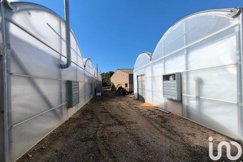 Parcela de 220000 m² en venta en Flix, Tarragona, Cataluña, Spain № 4789