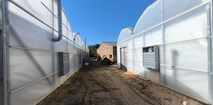220000 sq.m. land plot for sale in Flix, Tarragona, Catalonia, Spain № 4789