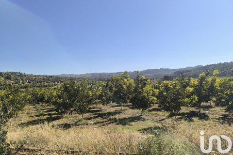220000 sq.m. land plot for sale in Flix, Tarragona, Catalonia, Spain № 4789 - photo 24
