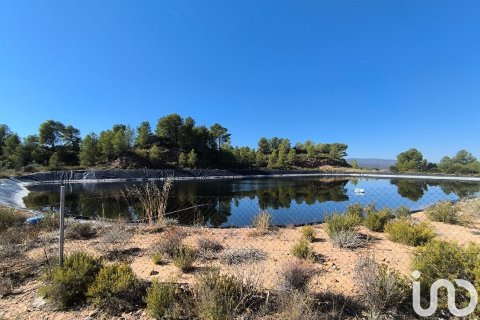 220000 sq.m. land plot for sale in Flix, Tarragona, Catalonia, Spain № 4789 - photo 7