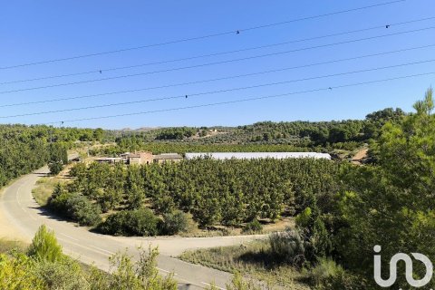 220000 sq.m. land plot for sale in Flix, Tarragona, Catalonia, Spain № 4789 - photo 22