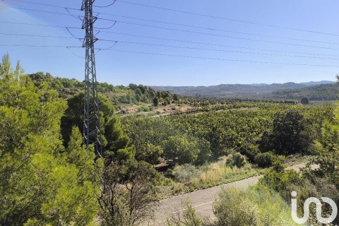 220000 sq.m. land plot for sale in Flix, Tarragona, Catalonia, Spain № 4789 - photo 26