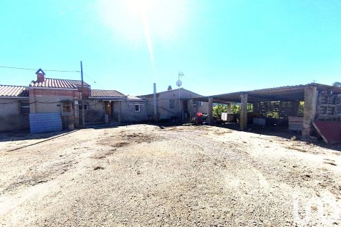220000 sq.m. land plot for sale in Flix, Tarragona, Catalonia, Spain № 4789 - photo 11