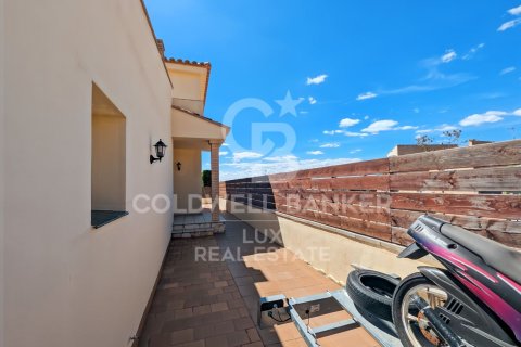 Сasa de 3 dormitorios en venta en Pau, Gerona, Cataluña, Spain № 7840 - foto 5