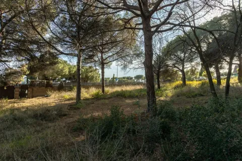 Parcela en venta en Mataró, Barcelona, Cataluña, Spain № 1746 - foto 6