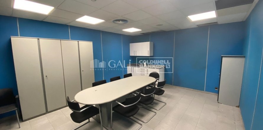 498 sq.m. office for rent in Principado De Andorra (Ninguna Poblacion Tiene C.P.), Lleida, Catalonia, Spain № 5263