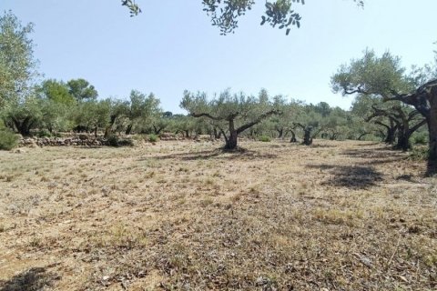 Сasa de 4 dormitorios en venta en L'Ametlla de Mar, Tarragona, Cataluña, Spain № 4838 - foto 14