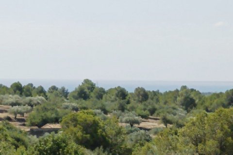 Сasa de 4 dormitorios en venta en L'Ametlla de Mar, Tarragona, Cataluña, Spain № 4838 - foto 20