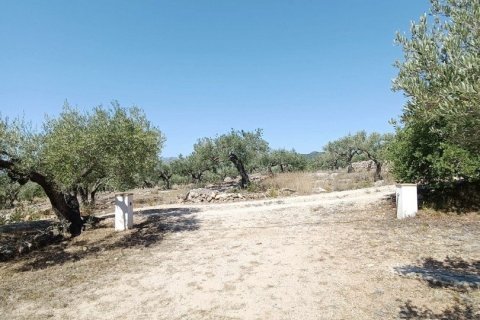 Сasa de 4 dormitorios en venta en L'Ametlla de Mar, Tarragona, Cataluña, Spain № 4838 - foto 29
