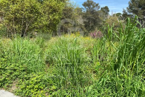 Parcela de 1065 m² en venta en Cerdanyola del Vallès, Barcelona, Cataluña, Spain № 7968 - foto 6