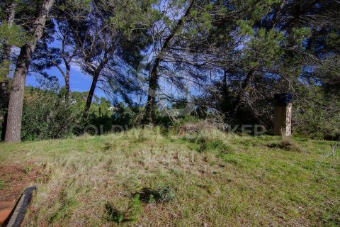 Parcela de 2000 m² en venta en Cerdanyola del Vallès, Barcelona, Cataluña, Spain № 7970 - foto 18