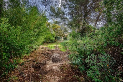 Parcela de 2000 m² en venta en Cerdanyola del Vallès, Barcelona, Cataluña, Spain № 7970 - foto 12