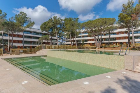 Cala S’Alguer en Palamós № 328