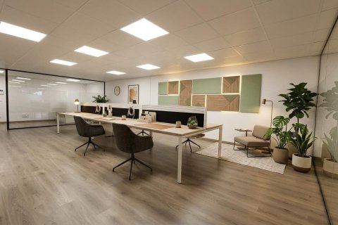 168 sq.m. office for rent in Principado De Andorra (Ninguna Poblacion Tiene C.P.), Lleida, Catalonia, Spain № 7689