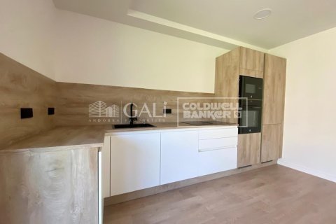 3 bedrooms apartment for rent in Principado De Andorra (Ninguna Poblacion Tiene C.P.), Lleida, Catalonia, Spain № 7685 - photo 27