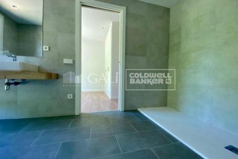 3 bedrooms apartment for rent in Principado De Andorra (Ninguna Poblacion Tiene C.P.), Lleida, Catalonia, Spain № 7685 - photo 14