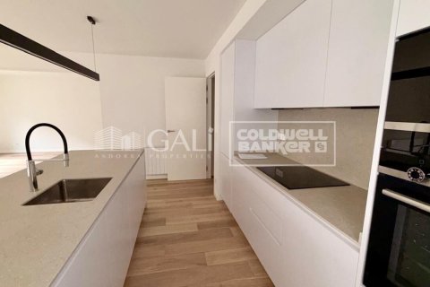 Снять в аренду квартиру в Андорра, Испания с 3 спальни, 124м², № 7690 - фото 12
