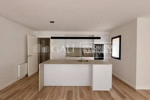 Apartamento de 3 dormitorios en alquiler en Principado De Andorra (Ninguna Poblacion Tiene C.P.), Lérida, Cataluña, Spain № 7690
