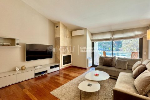 Ático de 3 dormitorios en alquiler en Principado De Andorra (Ninguna Poblacion Tiene C.P.), Lérida, Cataluña, Spain № 7995