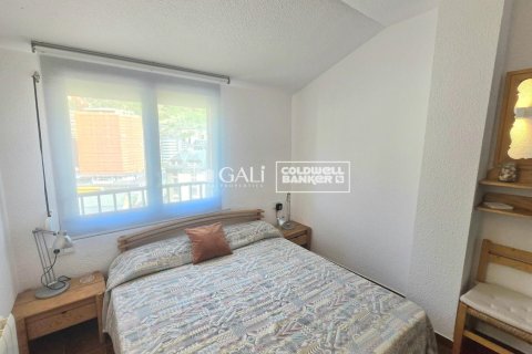 4 bedrooms penthouse for rent in Principado De Andorra (Ninguna Poblacion Tiene C.P.), Lleida, Catalonia, Spain № 7998 - photo 9
