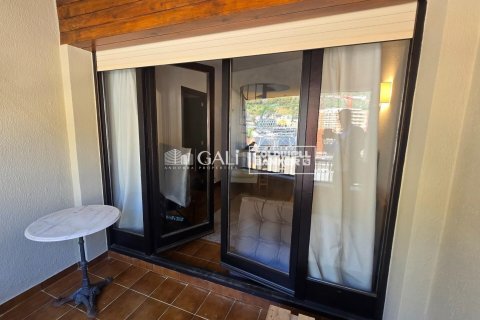 4 bedrooms penthouse for rent in Principado De Andorra (Ninguna Poblacion Tiene C.P.), Lleida, Catalonia, Spain № 7998 - photo 20
