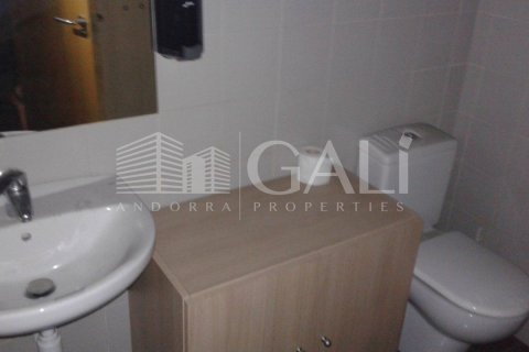 Propiedad comercial de 200 m² en alquiler en Principado De Andorra (Ninguna Poblacion Tiene C.P.), Lérida, Cataluña, Spain № 5266 - foto 9