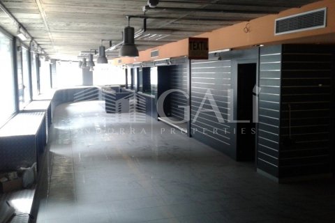 Propiedad comercial de 200 m² en alquiler en Principado De Andorra (Ninguna Poblacion Tiene C.P.), Lérida, Cataluña, Spain № 5266 - foto 4