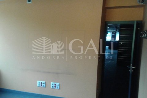 Propiedad comercial de 200 m² en alquiler en Principado De Andorra (Ninguna Poblacion Tiene C.P.), Lérida, Cataluña, Spain № 5266 - foto 6