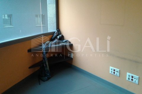 Propiedad comercial de 200 m² en alquiler en Principado De Andorra (Ninguna Poblacion Tiene C.P.), Lérida, Cataluña, Spain № 5266 - foto 7