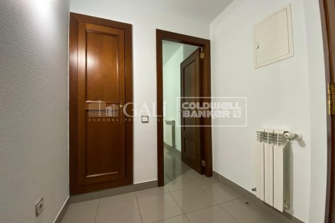 3 bedrooms apartment for rent in Principado De Andorra (Ninguna Poblacion Tiene C.P.), Lleida, Catalonia, Spain № 5270 - photo 25