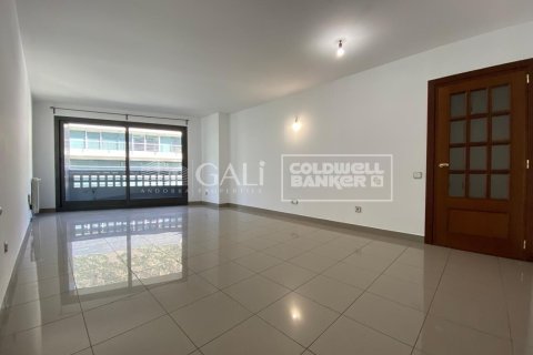 3 bedrooms apartment for rent in Principado De Andorra (Ninguna Poblacion Tiene C.P.), Lleida, Catalonia, Spain № 5270 - photo 2