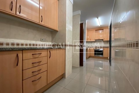 3 bedrooms apartment for rent in Principado De Andorra (Ninguna Poblacion Tiene C.P.), Lleida, Catalonia, Spain № 5270 - photo 5