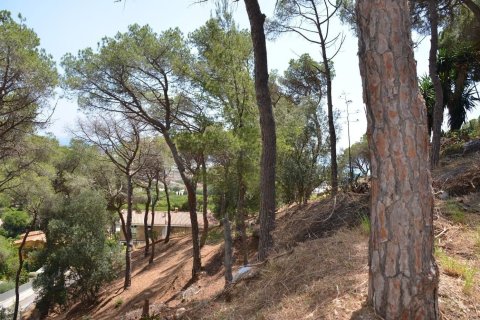 Parcela en venta en Premia De Dalt, Barcelona, Cataluña, Spain № 3630 - foto 9
