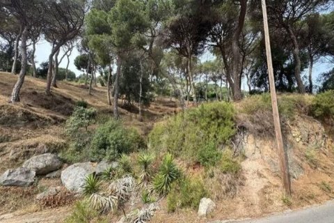Parcela en venta en Premia De Dalt, Barcelona, Cataluña, Spain № 3630 - foto 3