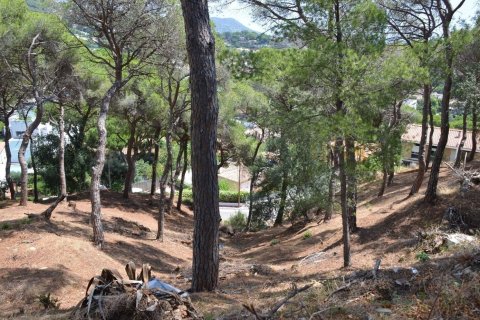 Parcela en venta en Premia De Dalt, Barcelona, Cataluña, Spain № 3630 - foto 8