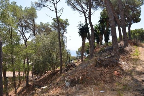 Parcela en venta en Premia De Dalt, Barcelona, Cataluña, Spain № 3630 - foto 6