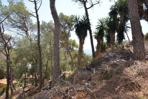 Parcela en venta en Premia De Dalt, Barcelona, Cataluña, Spain № 3630