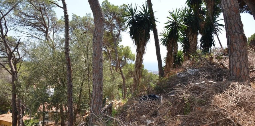 Parcela en venta en Premia De Dalt, Barcelona, Cataluña, Spain № 3630