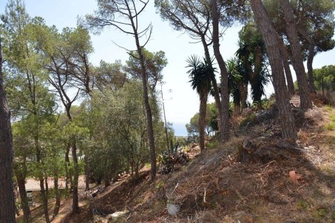 Parcela en venta en Premia De Dalt, Barcelona, Cataluña, Spain № 3630 - foto 10