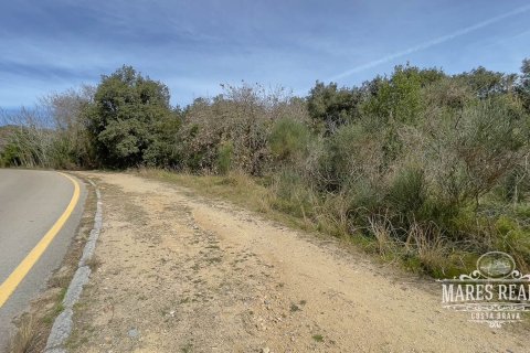 Parcela de 1076 m² en venta en Lloret de Mar, Gerona, Cataluña, Spain № 995