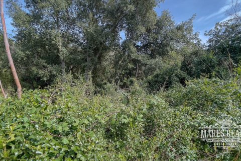 Parcela de 1076 m² en venta en Lloret de Mar, Gerona, Cataluña, Spain № 995 - foto 6