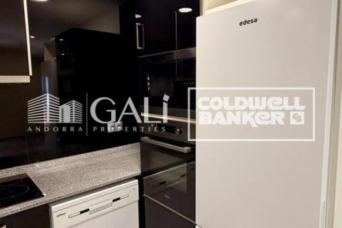 Купить квартиру в Андорра, Испания с 2 спальни, 90м², № 7672 - фото 19