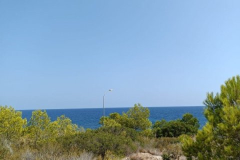 Parcela de 4000 m² en venta en L'Ametlla de Mar, Tarragona, Cataluña, Spain № 4997 - foto 2